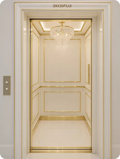 customized luxuary elevator